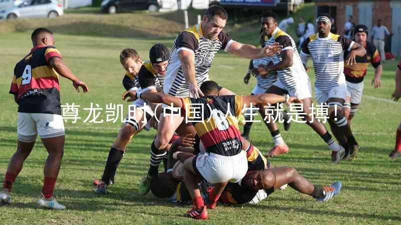 尊龙凯时(中国)人生就是搏!
